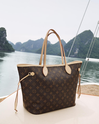 incredible on Louis Vuitton you should know of! – Fin and Mo