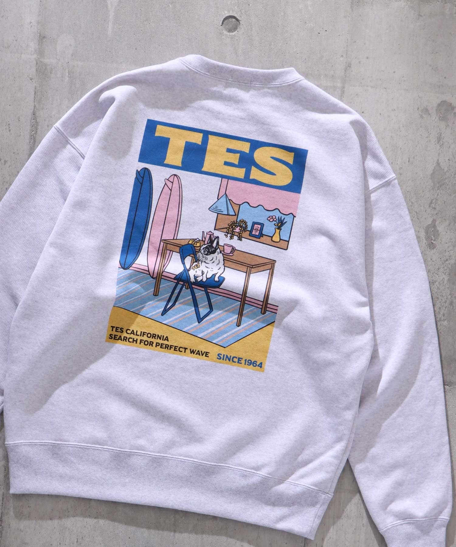 TES 90s VINTAGE GRAPHIC ASH SWEAT BIG / クルーネックビッグ