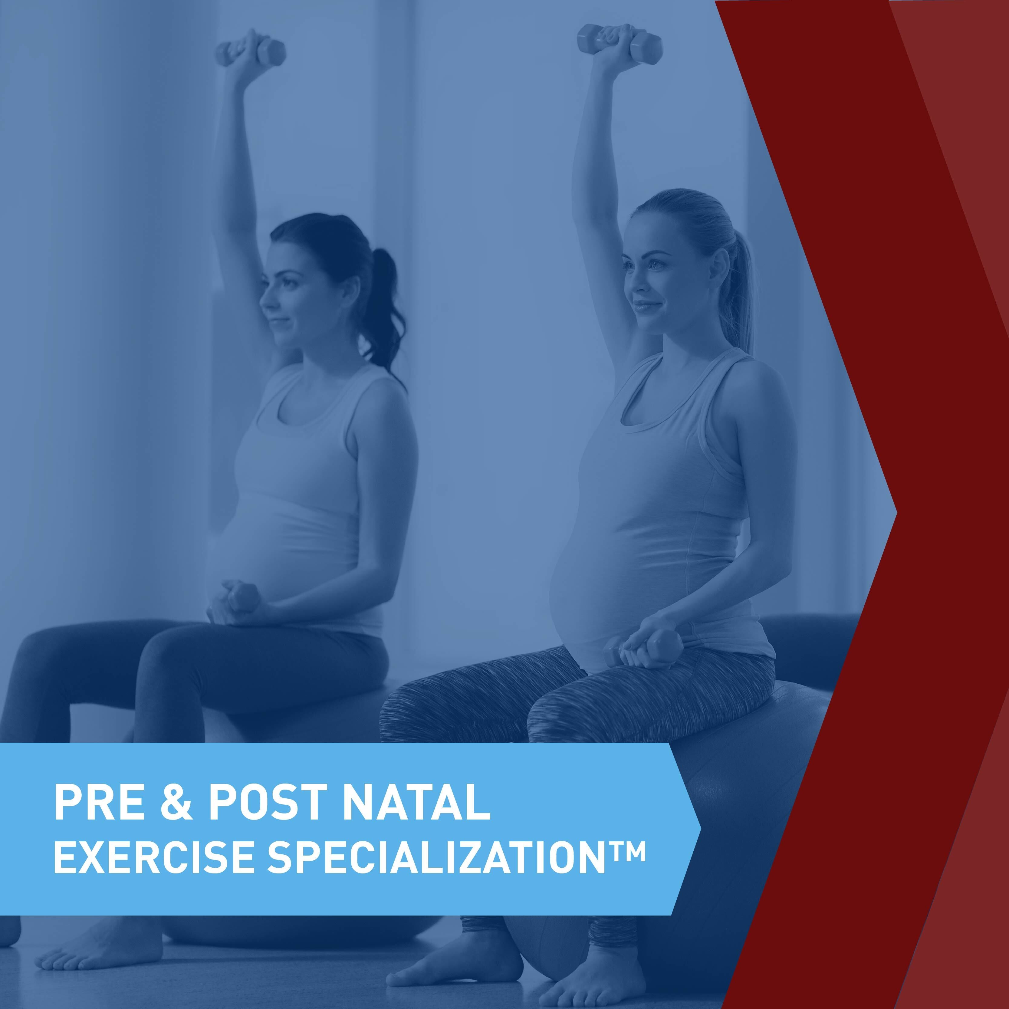 CSEP Pre & Postnatal Exercise Specialization™ Course Pack