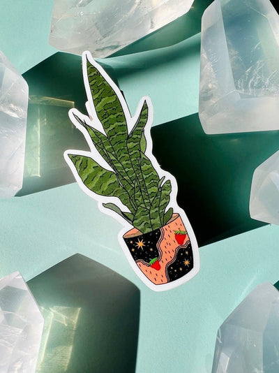 Snake Plant Clear Sticker - Case of 12