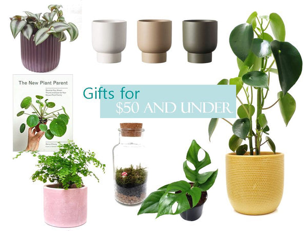 Gifts for under $50