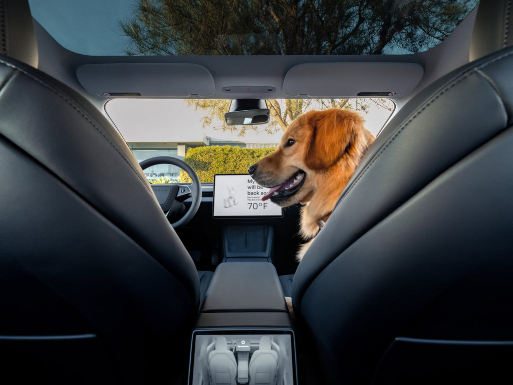 Tesla Model 3 highland interior