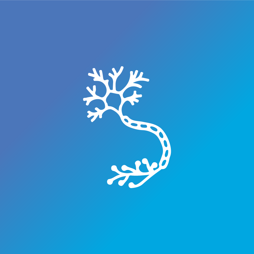 nervous system icon