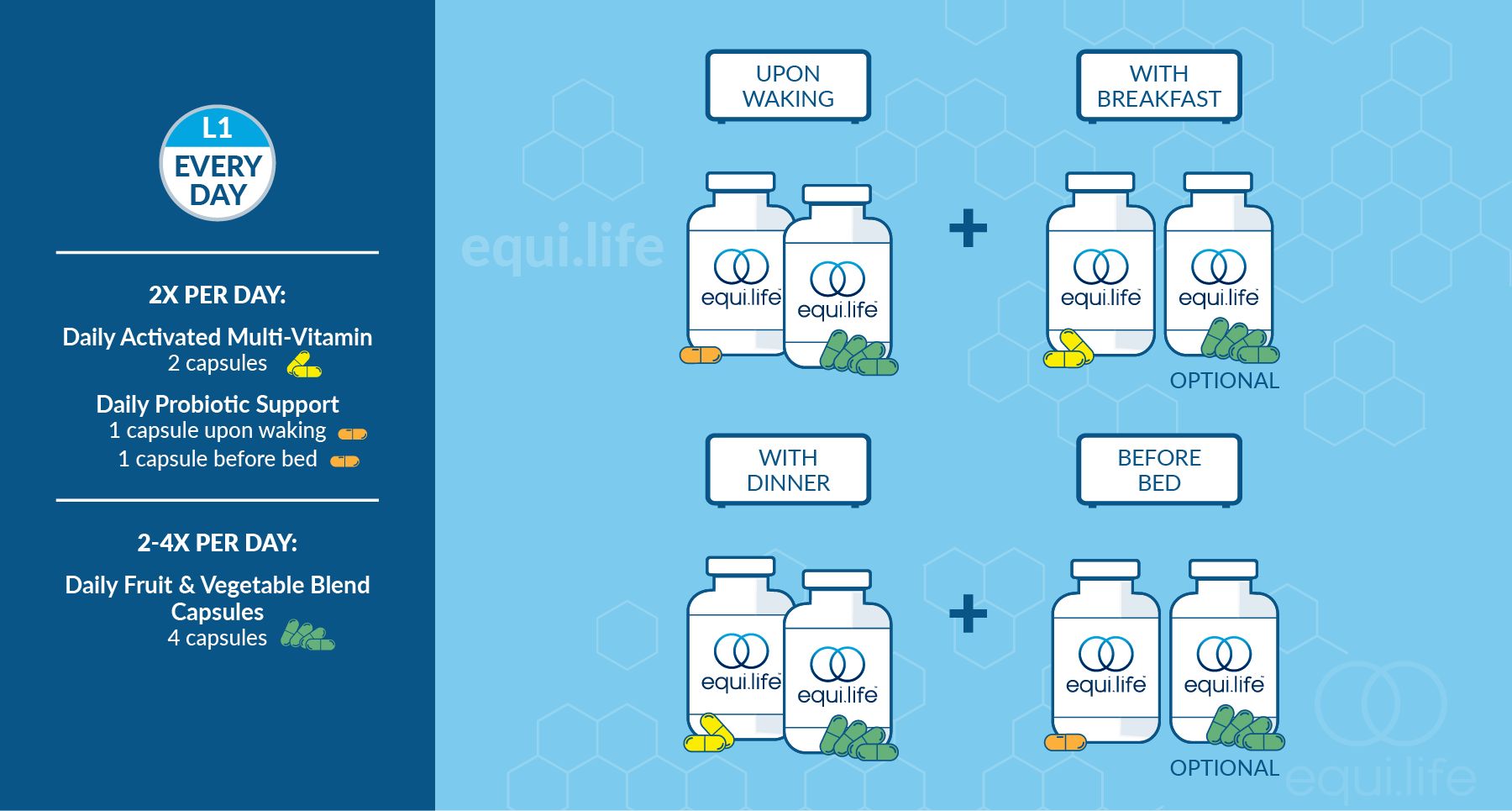 Daily Foundational Protocol (Capsules) - Level 1