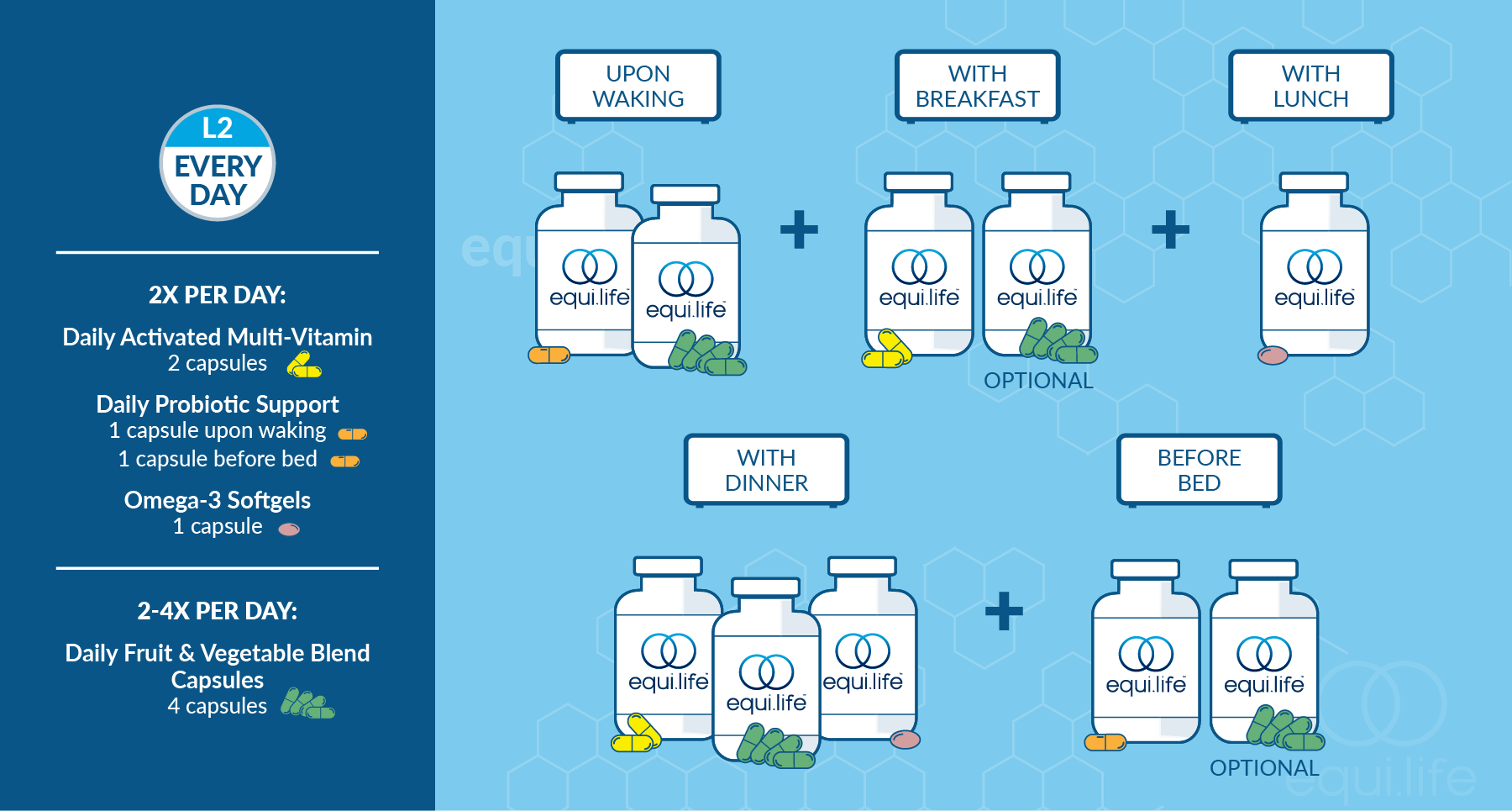 Daily Foundational Protocol (Capsules) - Level 2