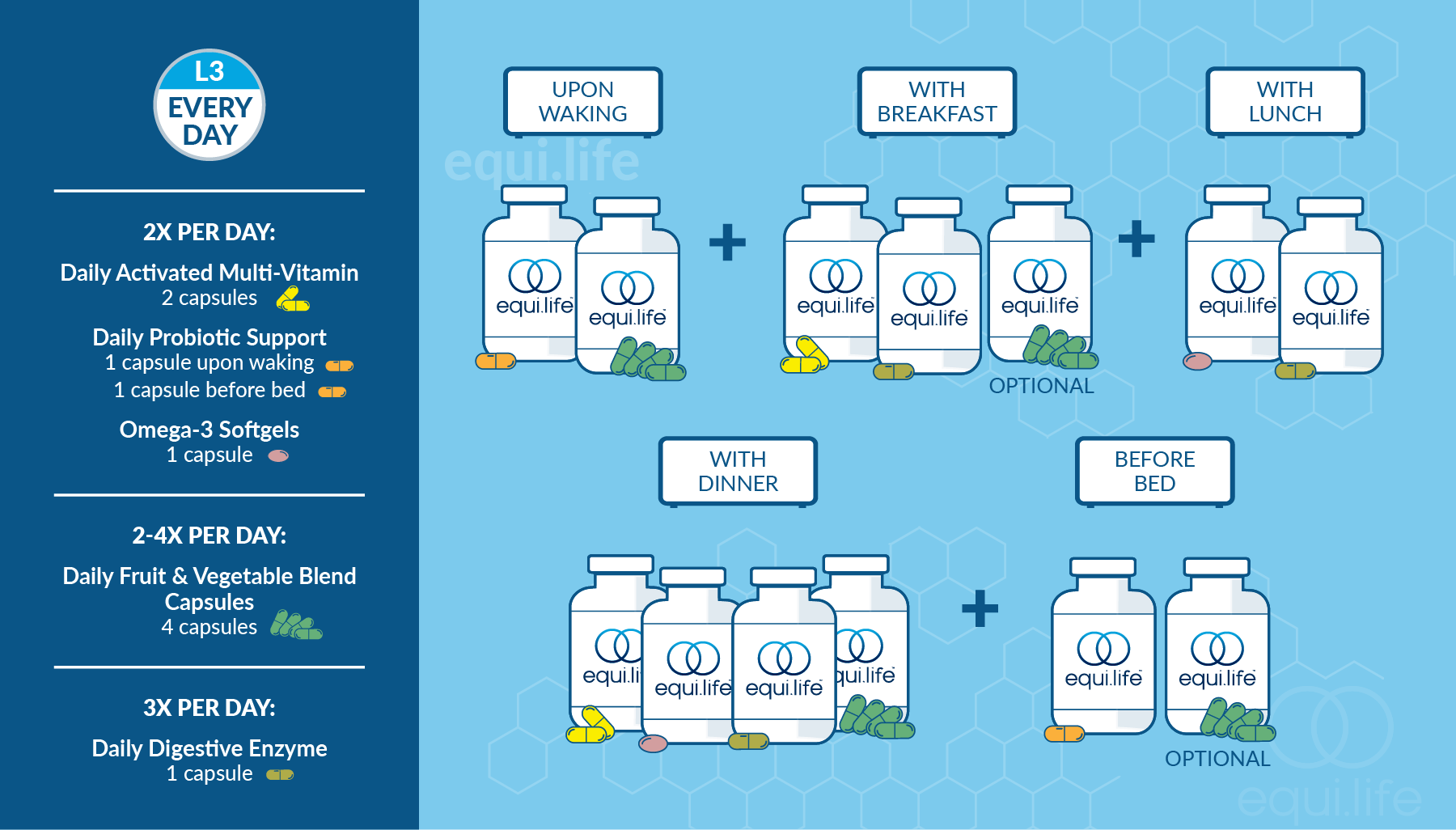 Daily Foundational Protocol (Capsules) - Level 3