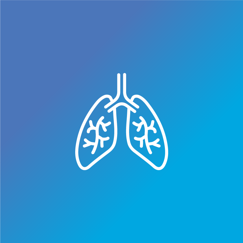 Supports Sinus & Respiratory Responses