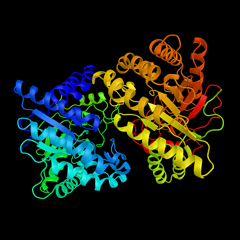 Cellulase