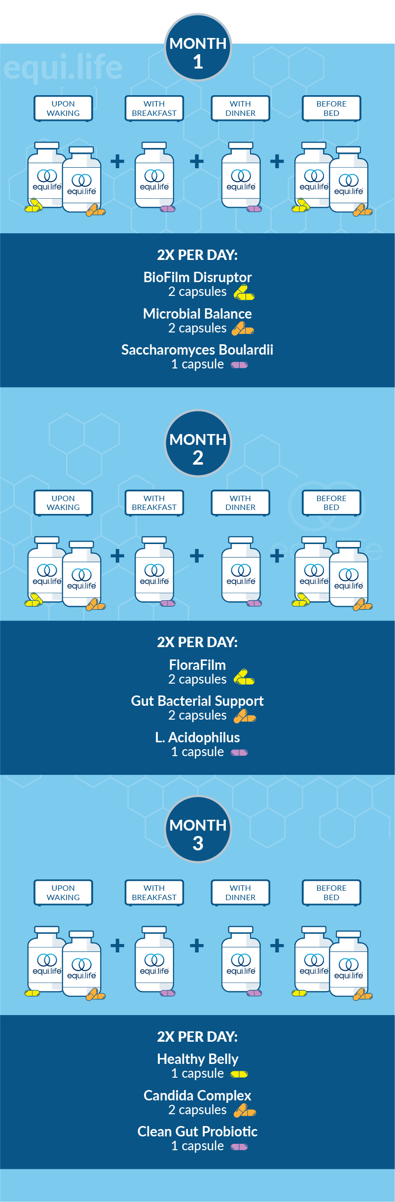 Saccharomyces Boulardii (Protocol for Life Balance)