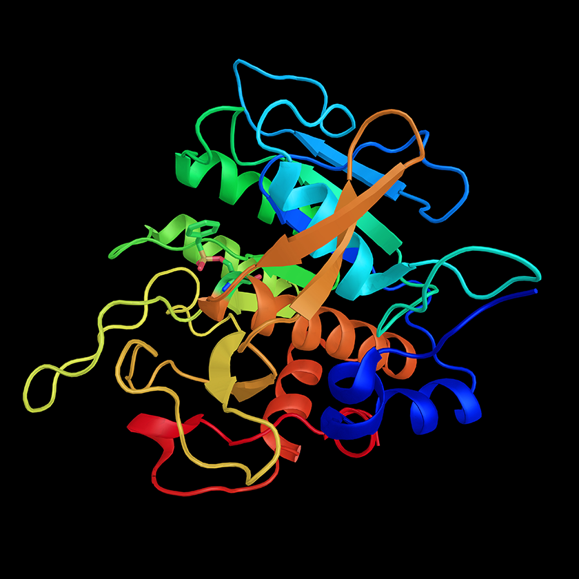 Nattokinase