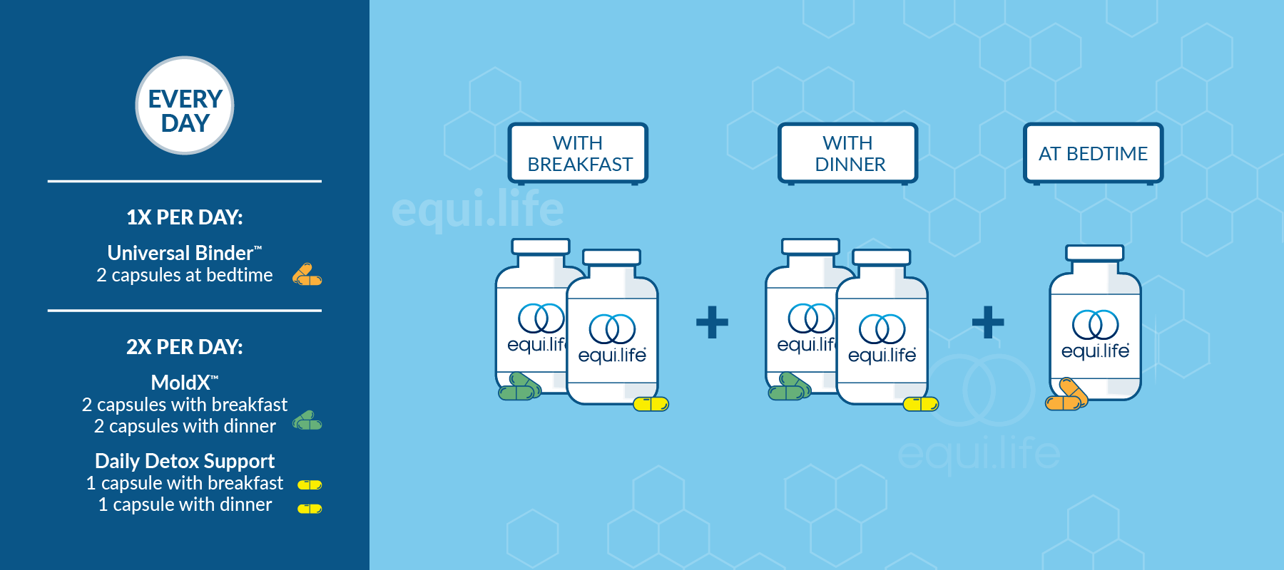 Mold Protocol