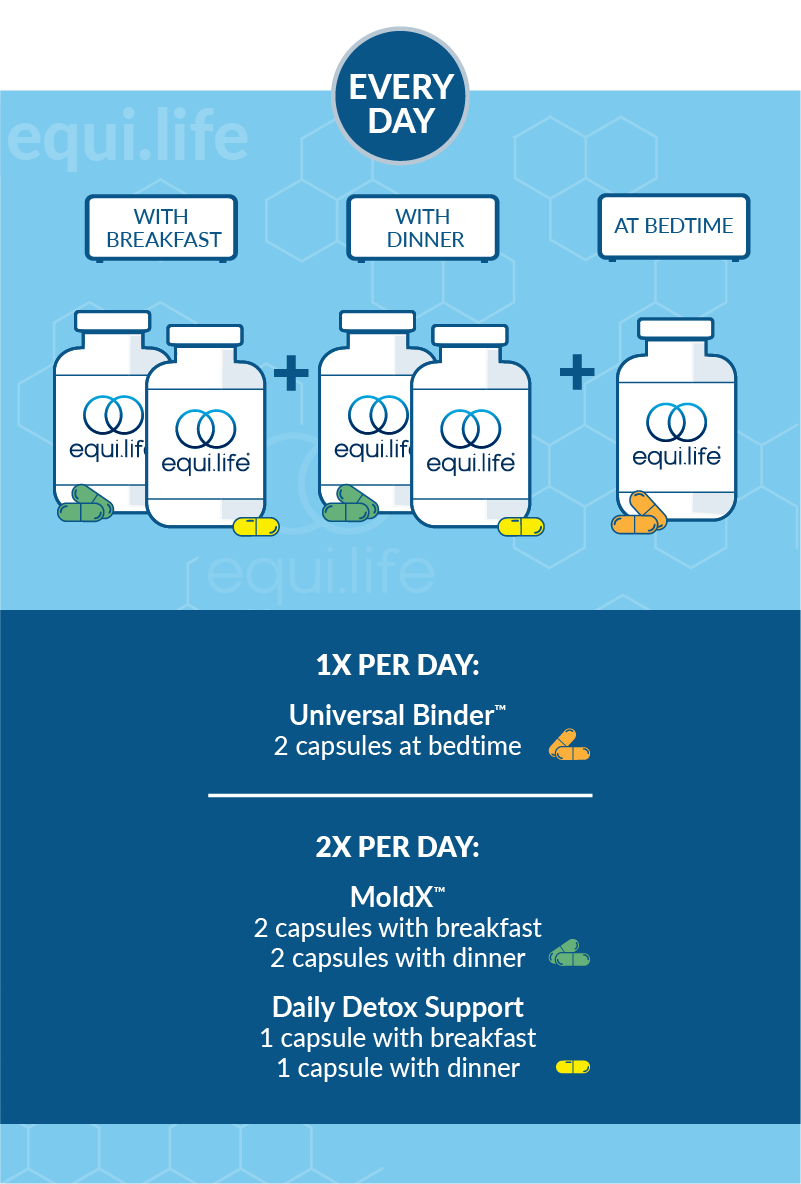 Mold Protocol