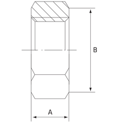 BSP Hex Back Nut 1/2 Inch