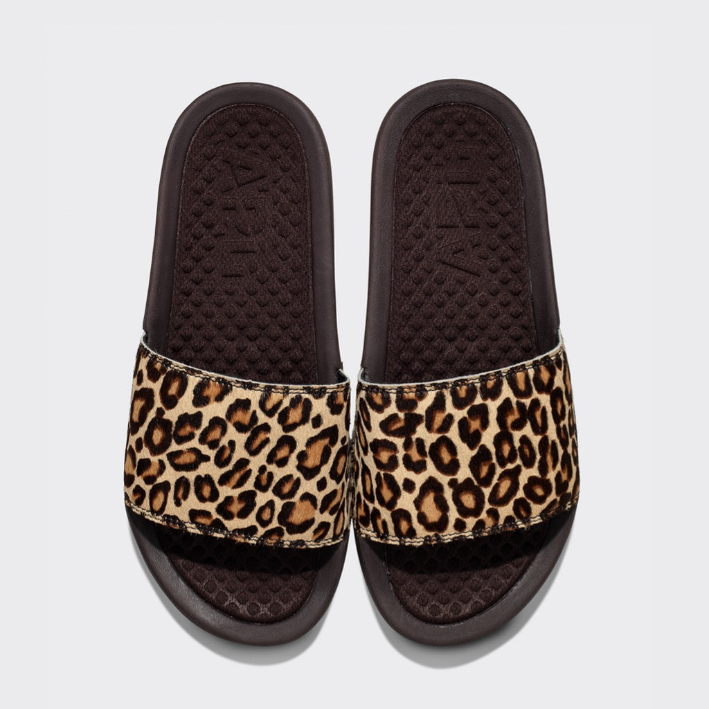 cheetah slides