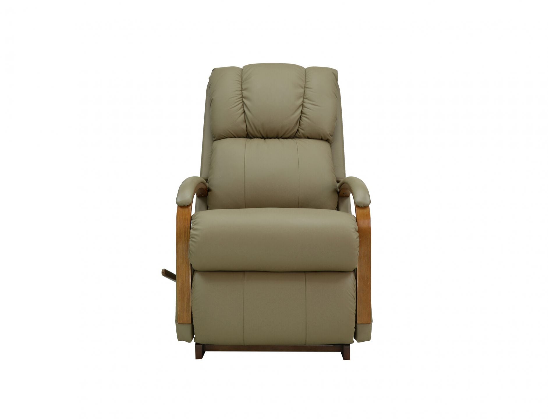 power recliner with adjustable headrest and lumbar support