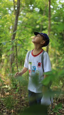 kids exploring nature