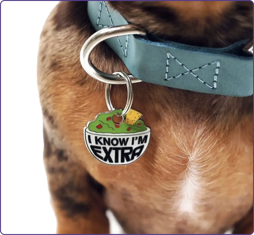 Dog wearing a collar with a tag reading 'I KNOW I'M EXTRA' featuring a taco.