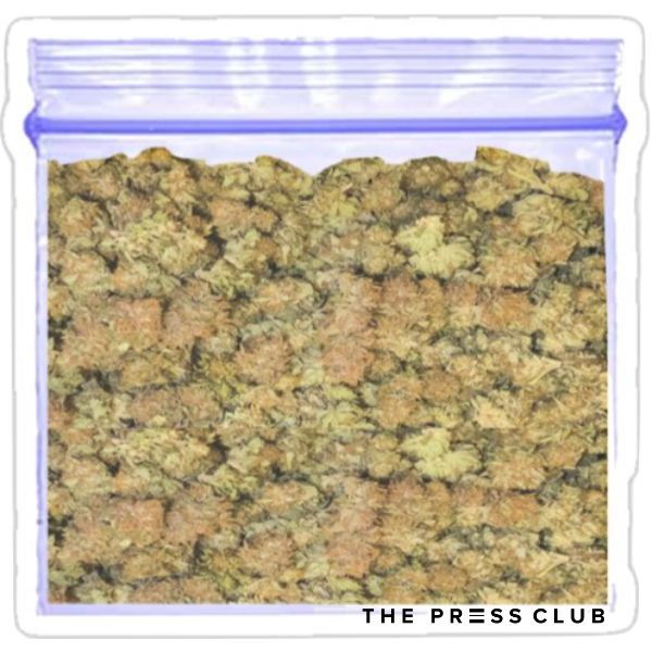 THE PRESS CLUB HOW TO PACKAGE AND STORE FRESH FROZEN CANNABIS