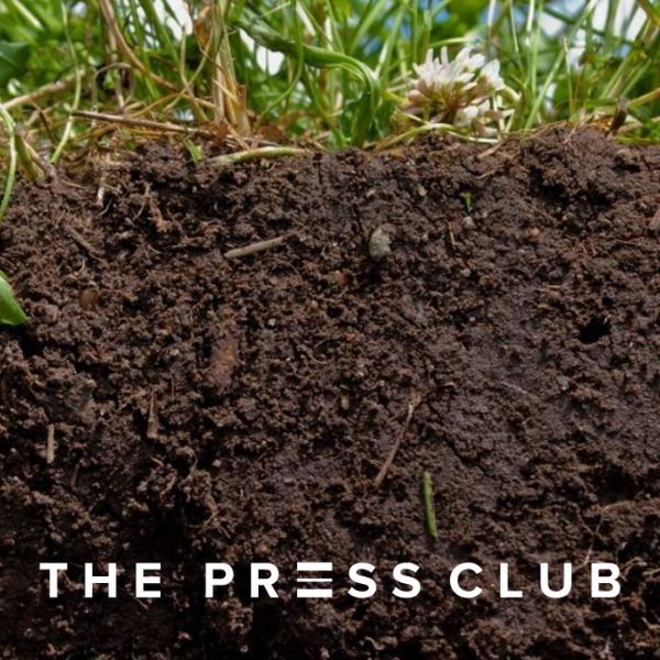 THE PRESS CLUB SINGLE SOURCE VS COMMERCIAL LIVING SOIL WHYS AND WHY NOTS
