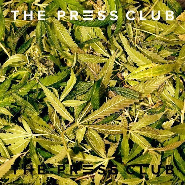 THE PRESS CLUB WHAT TO DO WITH TRIM LEAVES AND STEMS FROM HARVEST