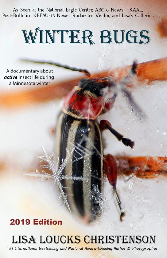 Winter Bugs Exhibit  | Group at Lisa's Books