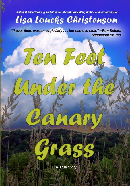 Ten Feet Under the Canary Grass  |  Hardcover