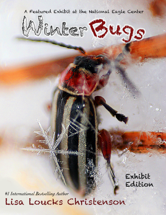 Winter Bugs! Exhibit Edition | of Whitewater™ Series | TEAP | Teacher Educational Activity Program