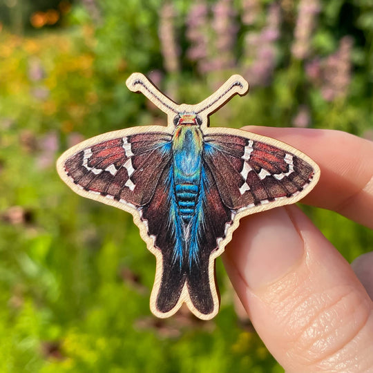 Long-Tailed Skipper Butterfly Wooden Pin Image 1
