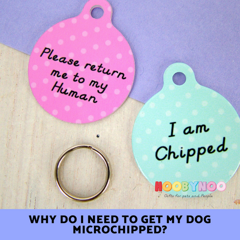 Hoobynoo Dog tags. Why do I need to get my dog microchipped?