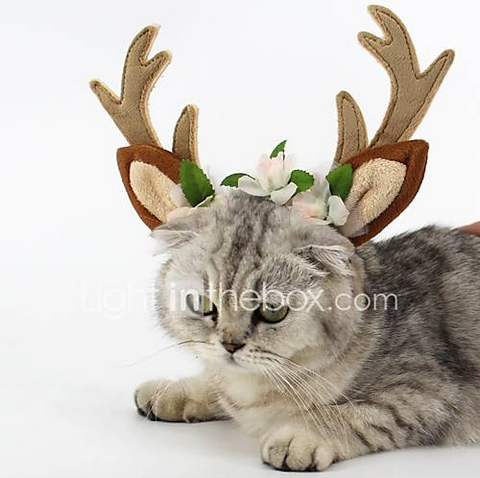 cat with deer headdress