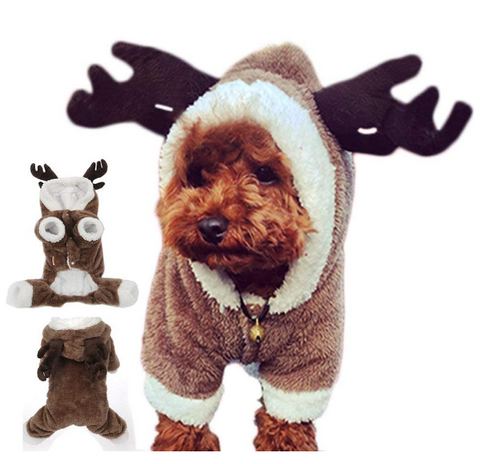 dog in deer costume 