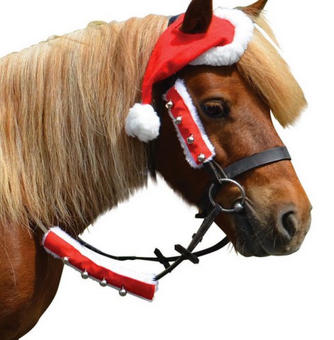 christmas outfit for horses