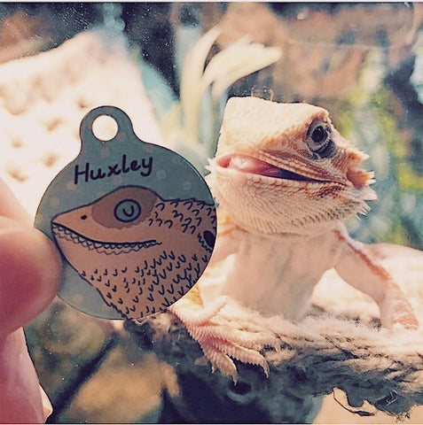 Bearded Dragon harness id tag