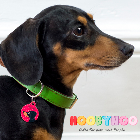 dachshund hoobynoo dog tag