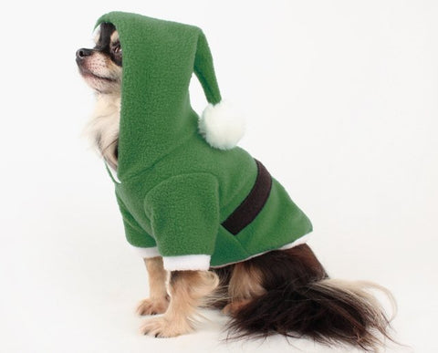 tiny dog in elf costume 