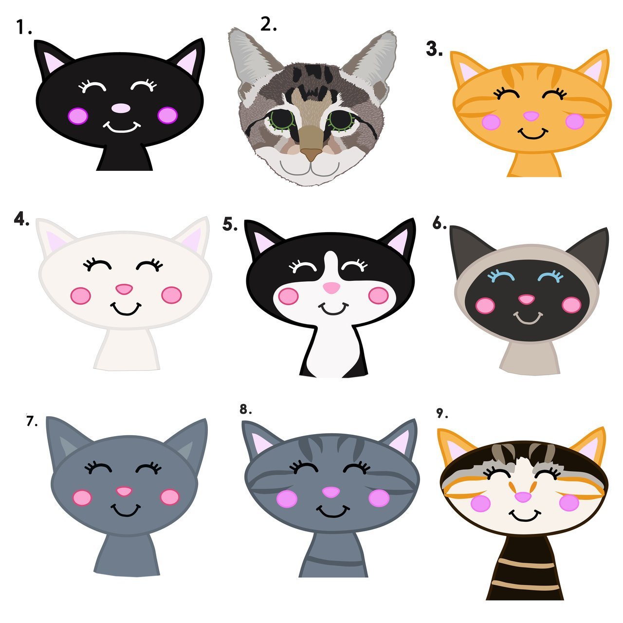 cat identity tags