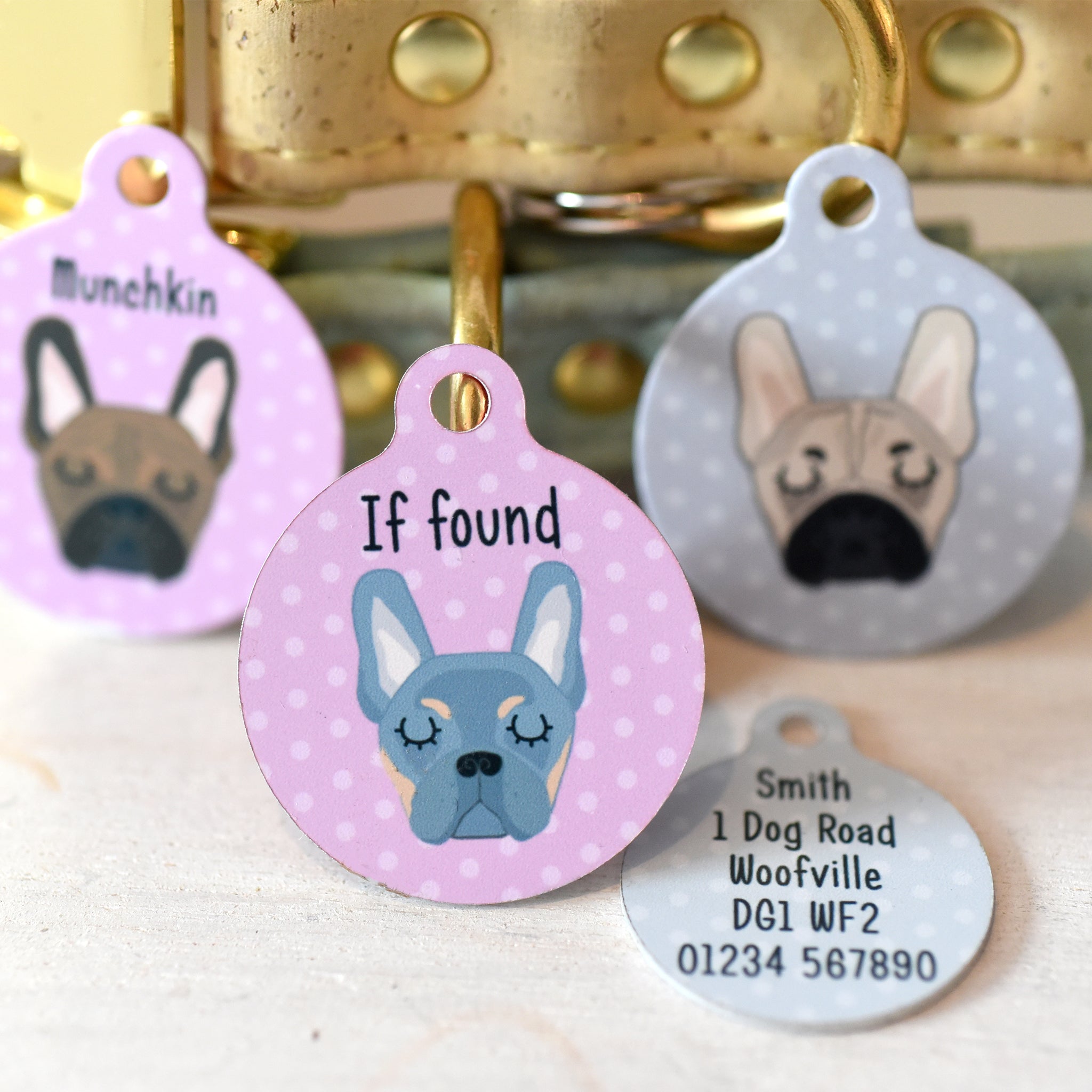 what should you put on your dogs tag