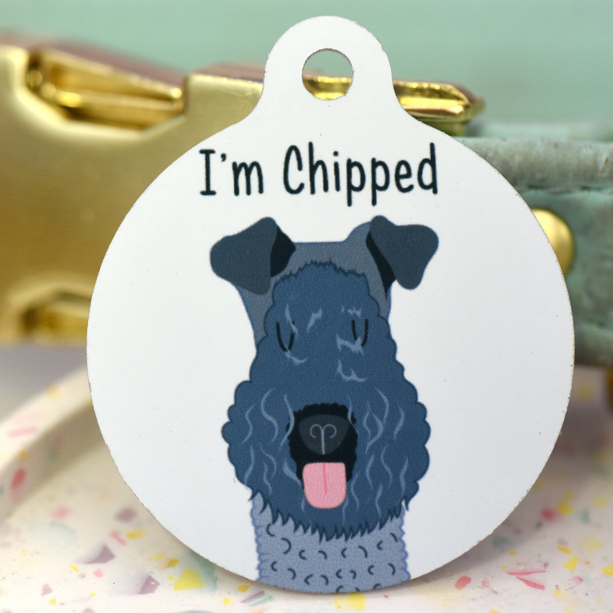 what are the best dog id tags