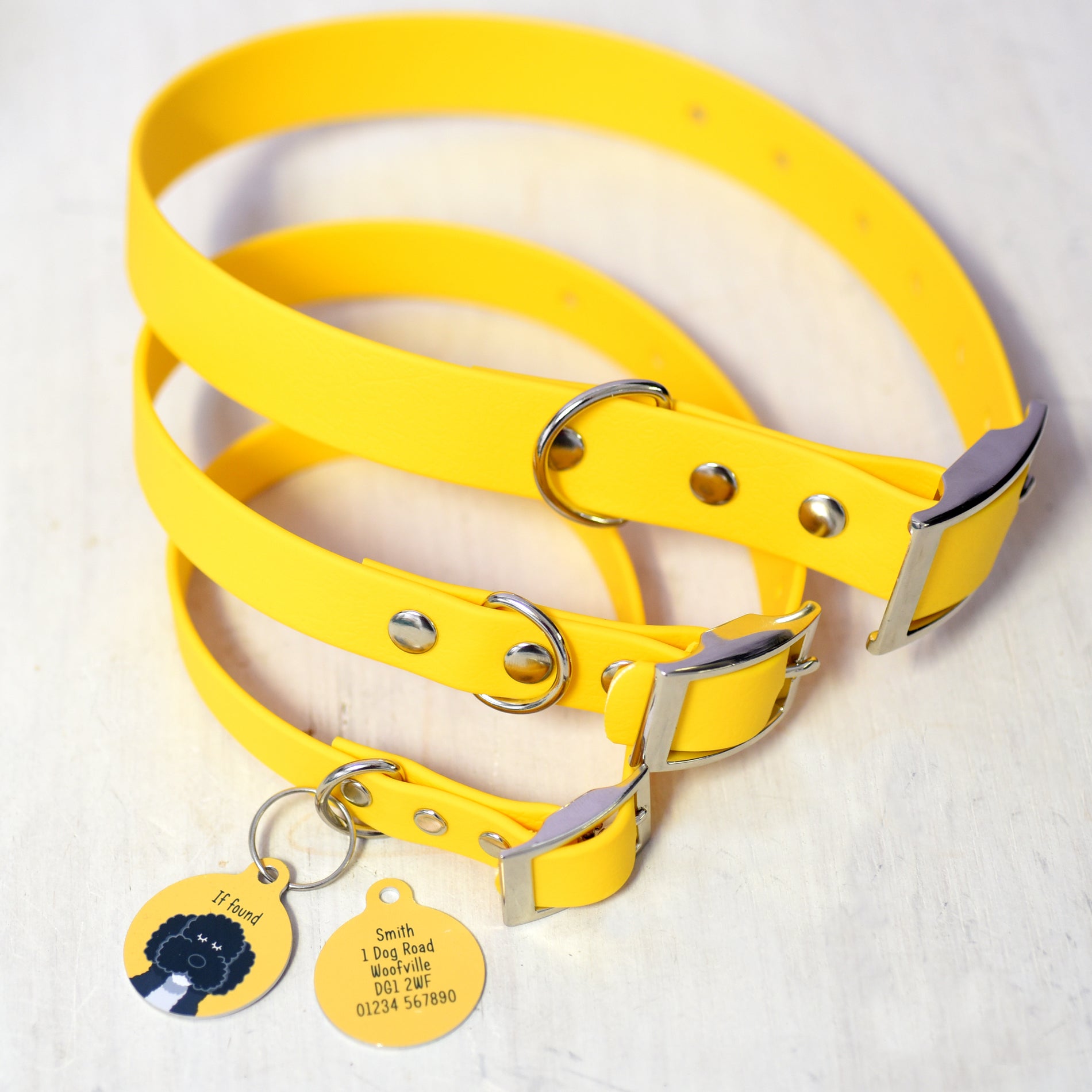 dog id tags and collars