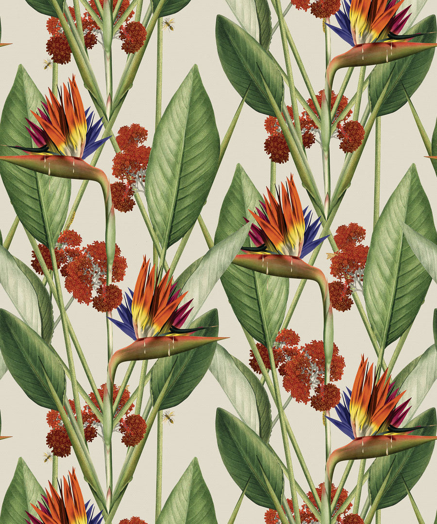 Birds Of Paradise Wallpaper – Déco Wallpaper
