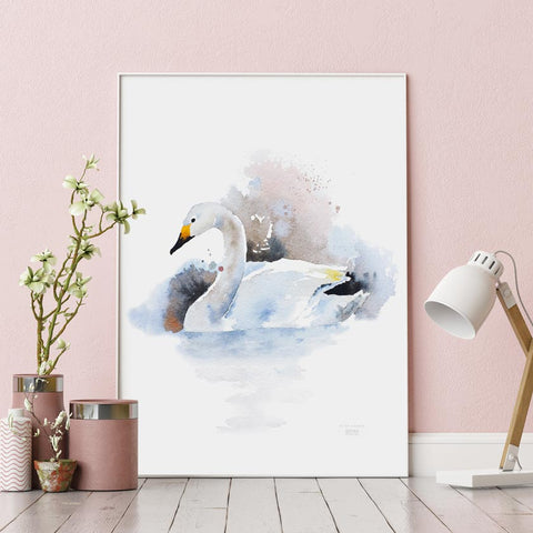 Swan poster, nature poster