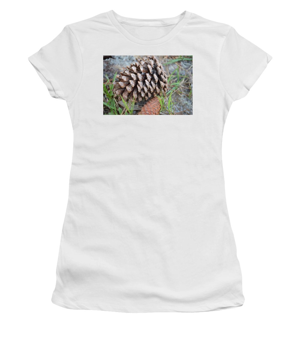 Pine Cone Beauty - Women's T-Shirt