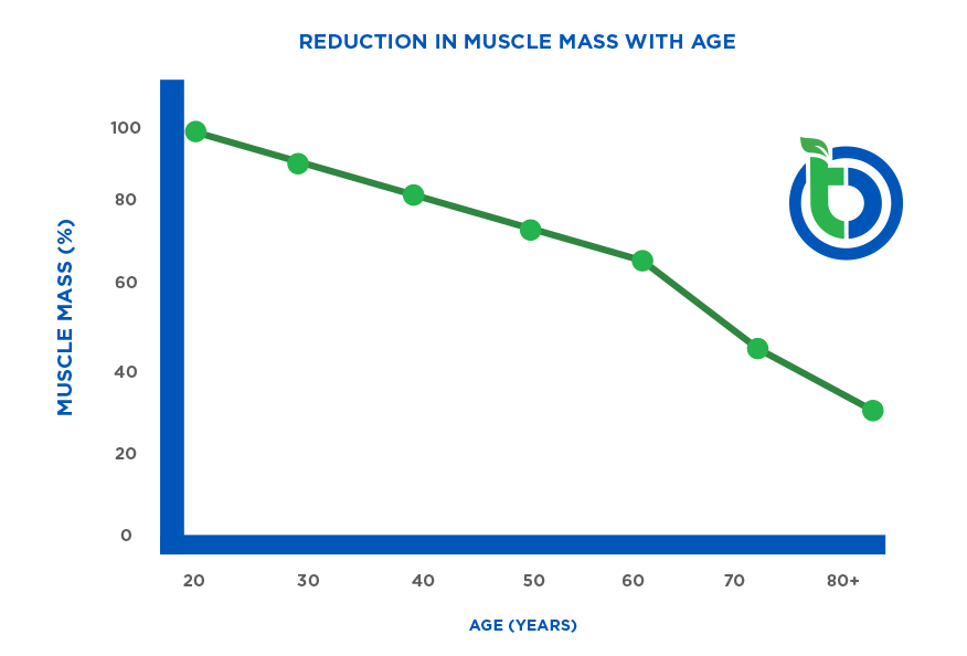 Muscle Support