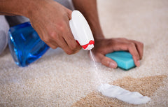 Image of hands cleaning a tan rug with a sponge and blue spray.