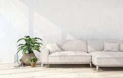 White wall with a white sectional sofa in front, next to the sofa is a plant with some accessories on the floor.