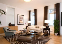 Brown and white living room with a patterned rug defining the seating area.