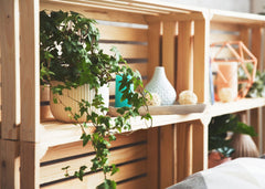 Wooden crate shelves with plants and other decorative items.