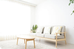 White living room, light wood floors, white rug, white sofa, one wall is full window so the room is bright.