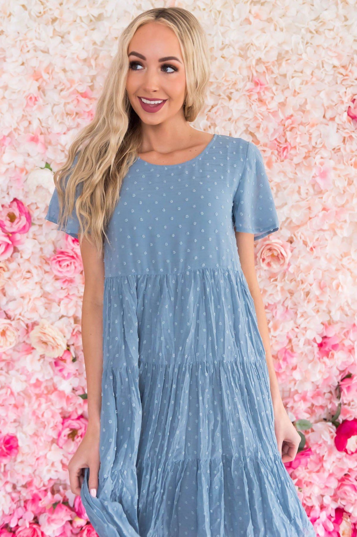 The Hannah Modest Swiss Dot Dress - NeeSee's Dresses