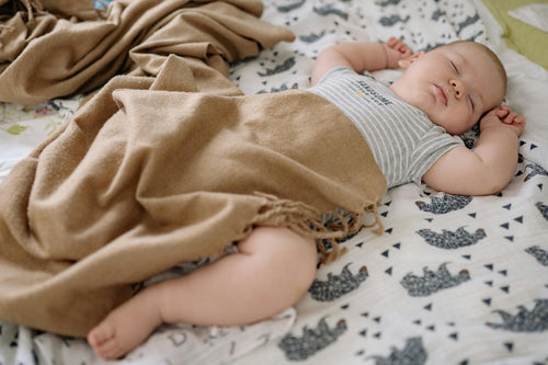 Baby Blanket Guide - Singhvis